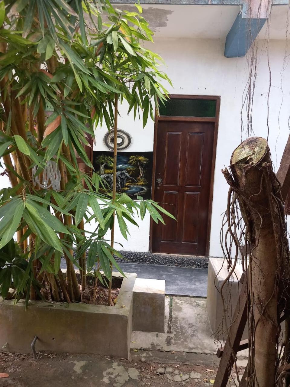Suninn Hostel And Surf School Weligama Exterior photo