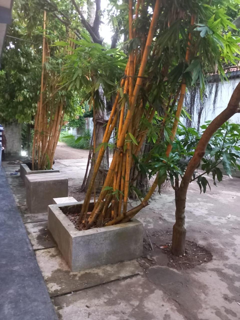 Suninn Hostel And Surf School Weligama Exterior photo